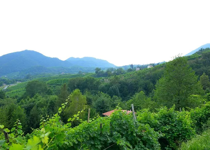 Agriturismo Casa di Campagna