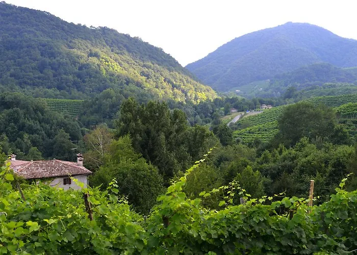 Agriturismo Casa di Campagna